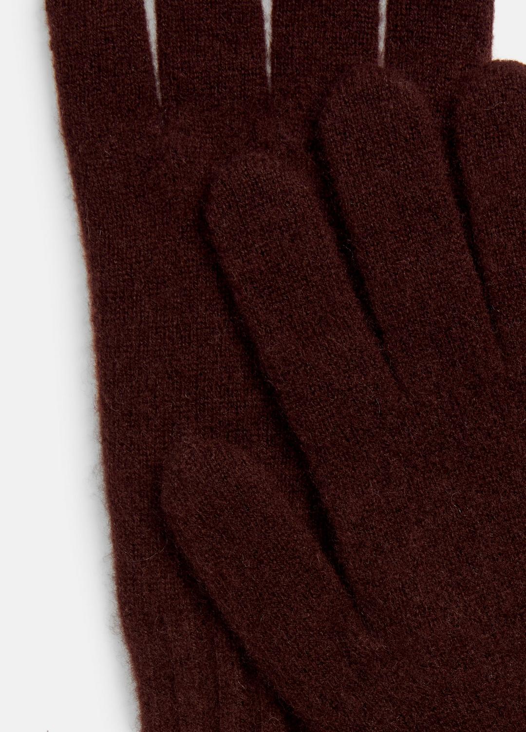 Plush Cashmere Gloves in Gloves FIG | VINCE Women