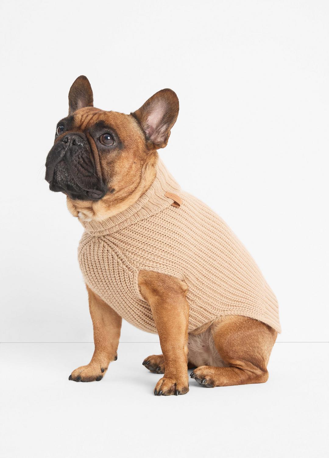 Wool and Cashmere Shaker-Stitch Dog Sweater in Dog Accessories CAMEL | VINCE Women